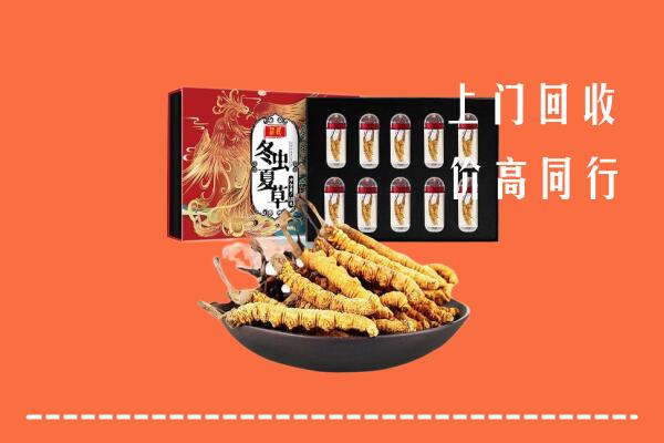 收购行情：长沙开福回收虫草